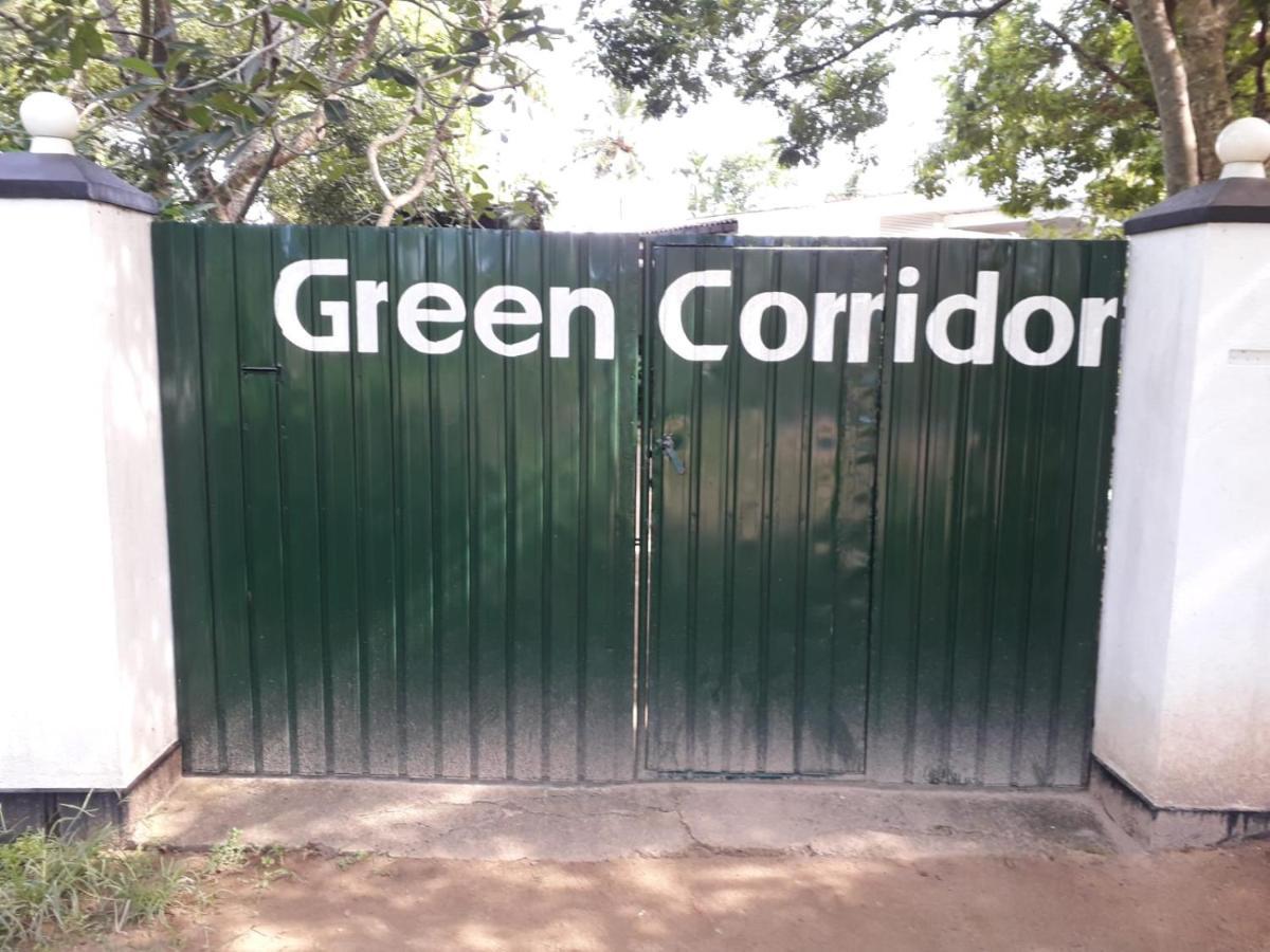 Green Corridor - Ahangama Buitenkant foto